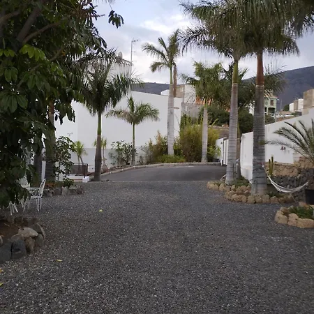 Palmeras B *