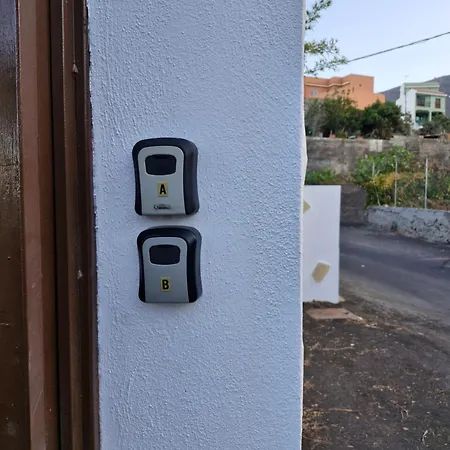 Palmeras B * Güimar