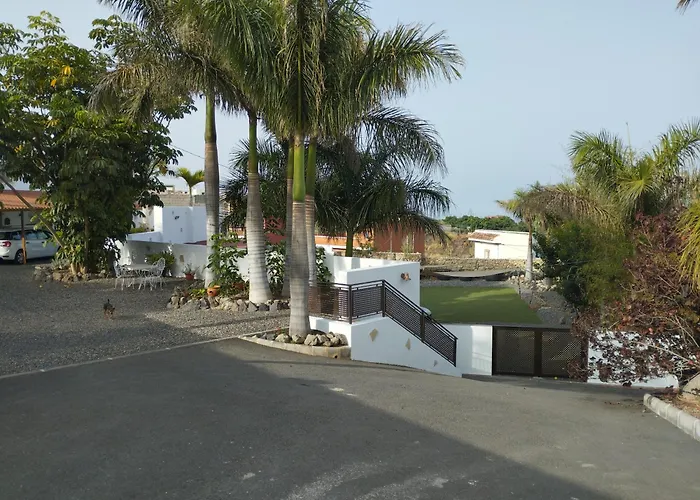 Palmeras B * Güimar