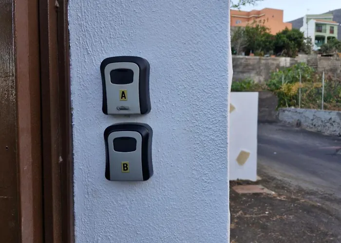 Palmeras B * Güimar