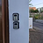 Palmeras B * غيمار