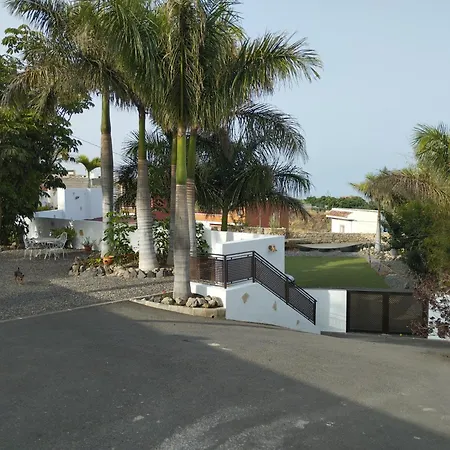 Palmeras B * Guimar