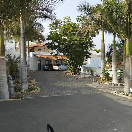Palmeras B *